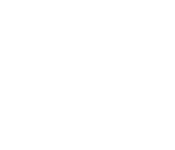 Metal Epidemic
